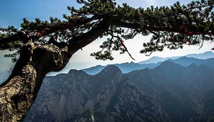 西岳指的哪座山