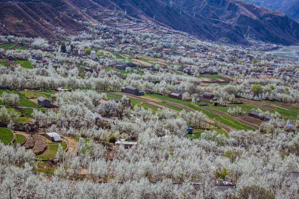 清明节去哪里旅游好