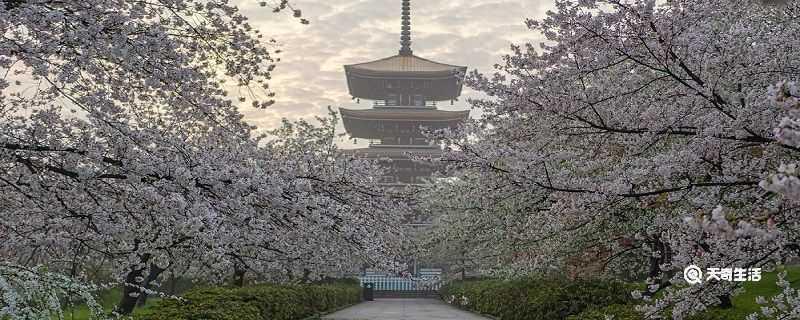 包头市春季赏花去哪里 推荐包头市春季赏花景点